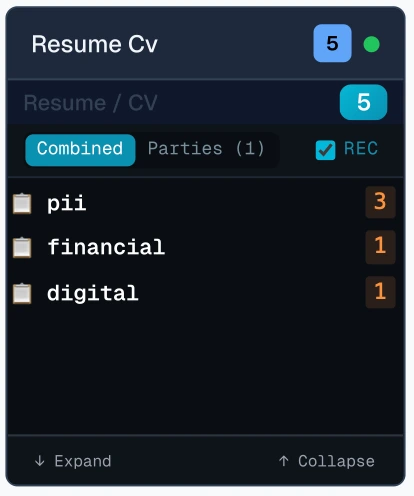 Right ear panel with pii, financial and digital groups